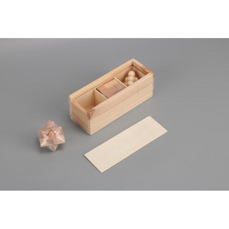BRENNA - eco-neutral 3 pcs Brain Teaser Puzzle Set