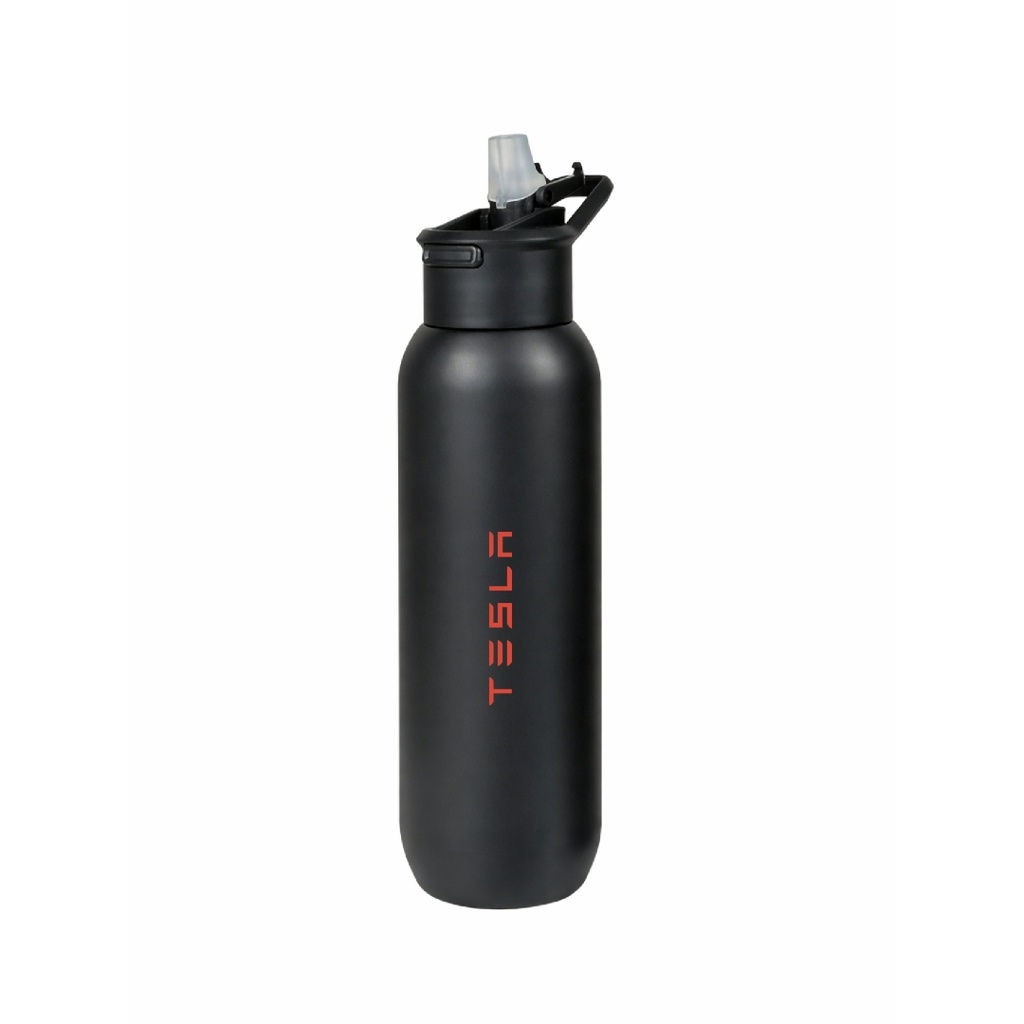 TOLEDO - Hans Larsen Double Wall Bottle with Straw  600 ml - Black