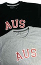 AUS Bio-Comfort T-shirt (100% Cotton) - Grey