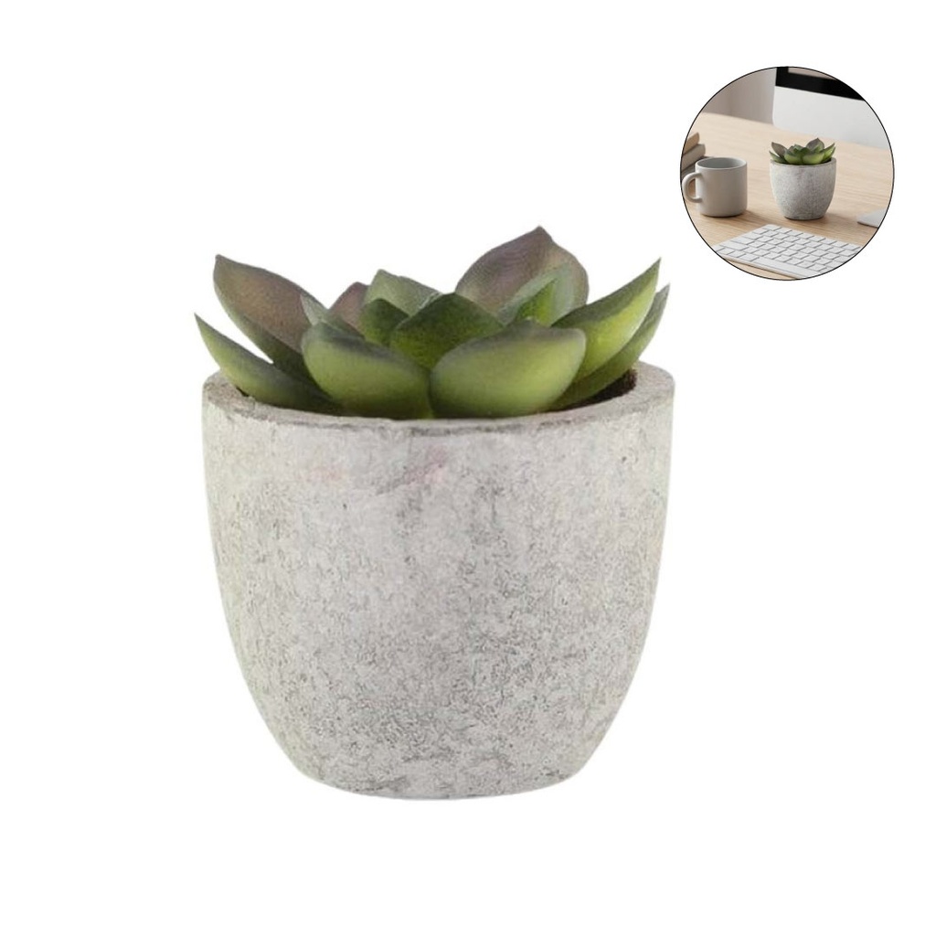 CAMAS - نبات عصاري اصطناعي في وعاء اللب