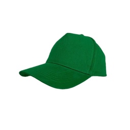[HWSN 528] NARVA - 5 Panel Heavy Brushed Cotton Cap - Green