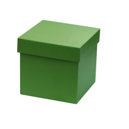 [EFEN 302] CENON eco-neutral Desktop Memo Cube