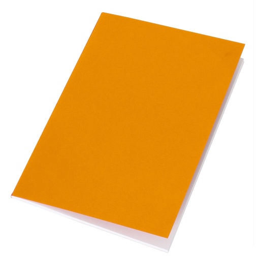 [NBGL 221] VINICA - eco-neutral A5 Notebook - Orange
